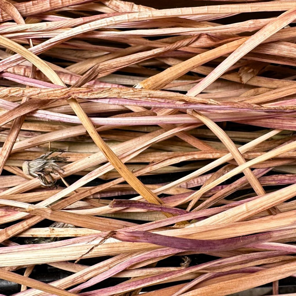 Finding Fertile Ground